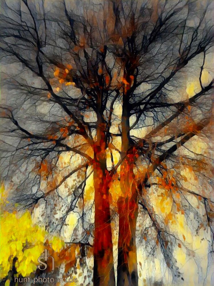 small pic ● Luminous Tree